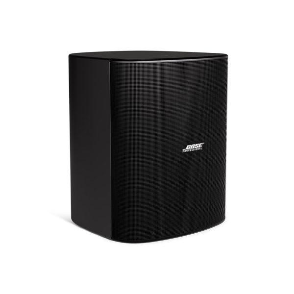 Bose DesignMax DM12SE